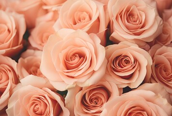 Wall Mural - A close-up of a bouquet featuring pink and orange roses set against a background with a peach fuzz color tone.