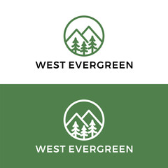 Wall Mural - Evergreen pine logo design vector illustration 