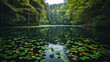 A lake in the middle of the forest with water lily leaves on it