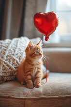 Cute Red Kitten In A Cozy Chair With A Heart-shaped Balloon