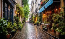 A Cobblestone Street Lined With Potted Plants