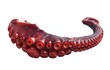 © Krakenimages.com - Close-up isolated image of a red octopus tentacle on white background.