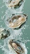 a few abalones in water splashing