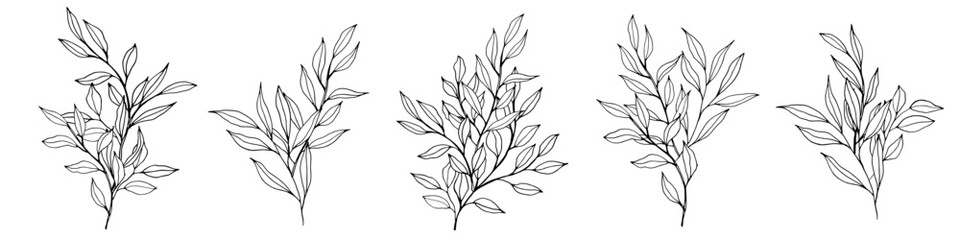 Wall Mural - vector contour branch and leaves compositions. Elegant branches for decoration. hand drawing monochrome botanical illustration for backgrounds. Template for wedding cards and polygraph, logo, tattoo.