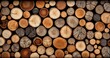 © Vagner Castro - Close up abstract pattern with round firewood stacks. View of a pile of wooden logs. Tree cut section for background texture.