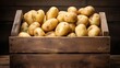 Potatoes in wooden box. Agriculture, gardening, growing vegetables. Harvesting organic potatoes