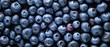 Fresh wet bilberry or blueberry fruits with water drops, closeup macro detail, wide banner. Generative AI