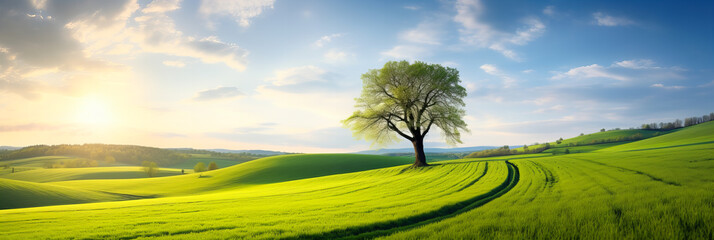 Wall Mural - a tranquil day in the countryside