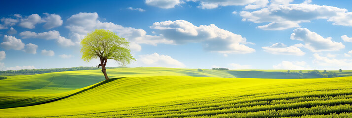 Wall Mural - a tranquil day in the countryside