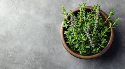 Sticker -  a close up of a plant in a bowl on a cement surface with a cement background and a small plant in the center of the bowl.