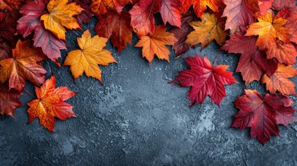 Wall Mural -  a group of red and yellow leaves on a gray background with space for text on the left side of the image.