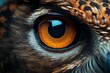 Closeup of an owls eye