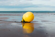 lemon-coloured buoy on the beach