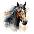 portrait brown horse in watercolor isolated against transparent background