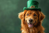 Fototapeta Mapy - St. Patrick's Day. Dog in a leprechaun hat on a green background