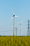 Fototapeta  - Wind turbine in a rapeseed field