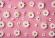 Pattern of Varied White Flowers on a Solid Pink Background