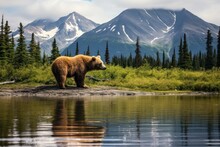 A Brown Bear Standing On A Rock Next To A Body Of Water With A Mountain Range In The Back Ground.
