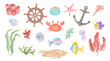 Set of cartoon marine animals and plants