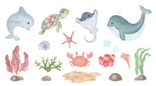 Watercolour Set Of Marine Animals