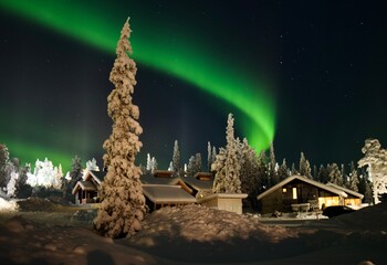 christmas tree at night with northern lights on the background, lapland, finland