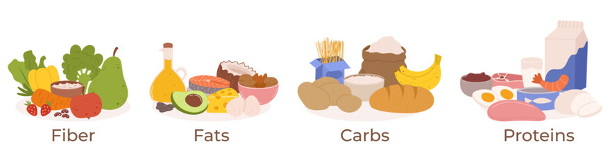 Vector Set Healthy Food Groups. Fiber, Fats, Carbs or Proteins Include Fruits, Vegetables, Whole Grains, Lean Proteins