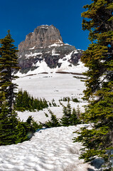 Wall Mural - Mountains, Snow and flowers in Glacier National Park