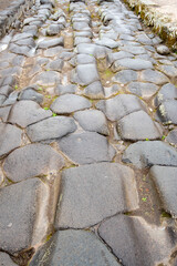 Wall Mural - Ancient Street with Ruts - Pompeii - Italy