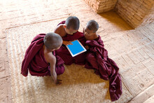 Three Novice Buddhist Monks Using Digital Tablet, Myanmar