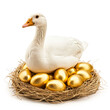 The Goose that laid The golden egg