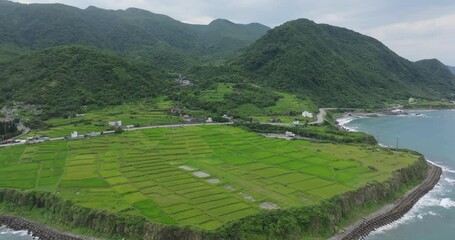 Wall Mural - Drone fly over the hualien rice field beside the sea coast