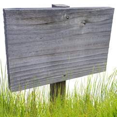 Canvas Print - Pancarte bois planté dans de l’herbe 