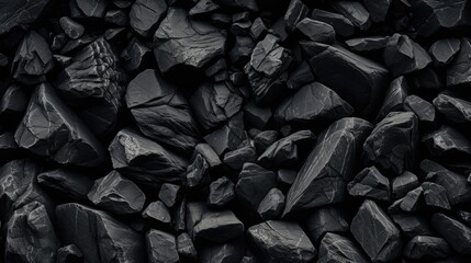 Wall Mural - a high-resolution image displaying a variety of black stones with different textures and shapes, creating a natural, monochromatic background