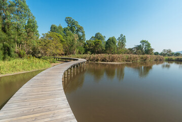 Wall Mural - Wooden trail and pond in Hong Kong wetland park