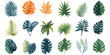 Collection of tropical leaves, foliage plant in color of year 2024.Abstract leaf decoration design, Generative Ai