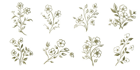 Poster - Set Floral branch and minimalist leaves for logo or tattoo. Hand drawn line wedding