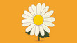 © Aura - illustration of a simple, single daisy, its petals and yellow center against a yellow background