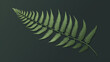 illustration of a simple fern frond, its elegance amplified by the minimalist approach
