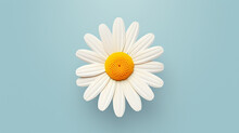 Illustration Of A Simple, Single Daisy, Its Petals And Yellow Center Reduced To Essential Forms