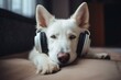 Adorable pup enjoying tunes with closed eyes. Generative AI