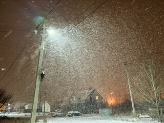 Poster - It's snowing at night in the light of a lantern on a pole