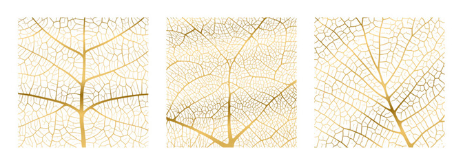 Wall Mural - leaf vein texture abstract background with close up plant leaf cells ornament texture pattern set. g