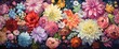 A close up of beautiful blooming flowers, floral background