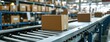 Rows of cardboard box packages for e-commerce delivery are efficiently managed by a conveyor belt in the distribution warehouse, embodying an automated logistics concept.