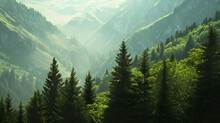 Beautiful Green Mountains With Pine Trees And Green Meadow