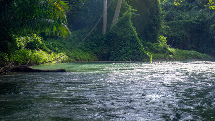 jamaica landscape in carribean sea and wild nature