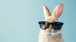sweet easter bunny  wearing black sunglasses, on blue background, with empty copy space