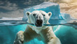 A desperate white polar bear swimming in front of an iceberg drifting in the sea, melting ice due to climate change and global warming. Generative Ai.