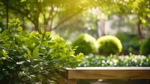 Closeup Of A Tranquil Garden With Lush Green Plants And A Wooden Bench, Perfect For Practicing Mindfulness Meditation.