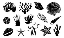 Seashells Silhouette Set. Various Mollusk Seashells Different Forms, Starfish And Coral. Underwater Flora, Sea Plants Vector Illustration.